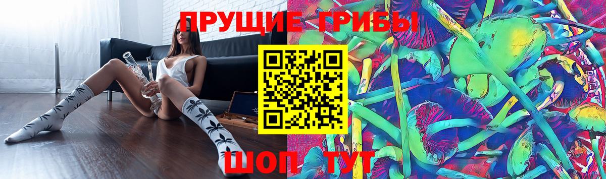 закладка  Псилоцибиновые грибы прущие грибы  Вход с VPN  Северобайкальск 