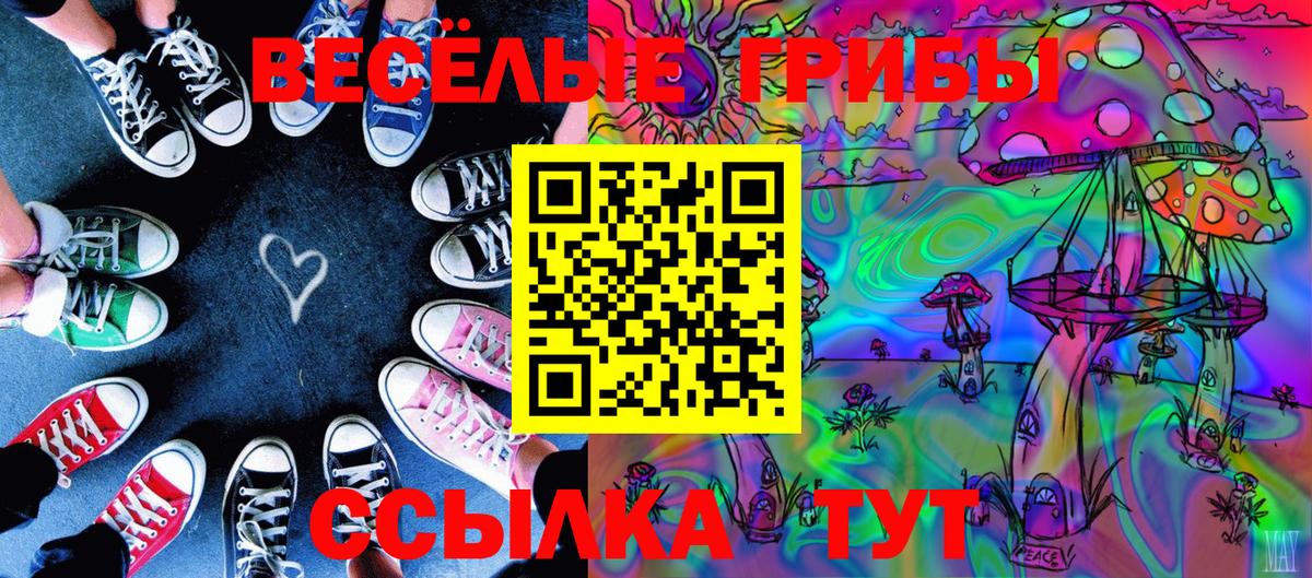 Галлюциногенные грибы Cubensis Северобайкальск